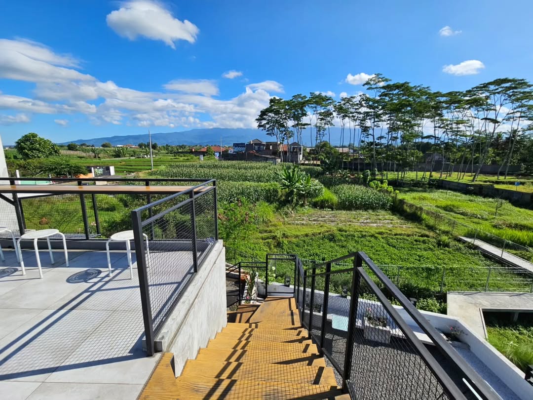 LOMA Dining